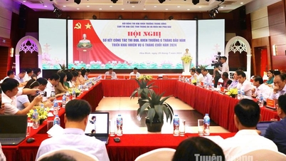 បណ្តុំត្រាប់តាមនៃខេត្ត Northern Midlands និង Mountains សង្ខេបការងារត្រាប់តាម និងរង្វាន់