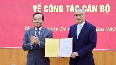 Il signor Pham Dai Duong ricopre la carica di vice capo del Comitato economico centrale.