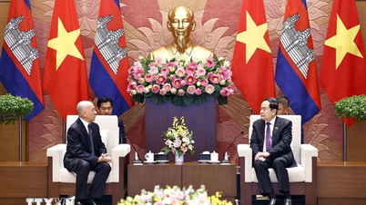 ប្រធានរដ្ឋសភាលោក Tran Thanh Man ចូលគាល់ព្រះមហាក្សត្រខ្មែរ នរោត្តម សីហមុនី