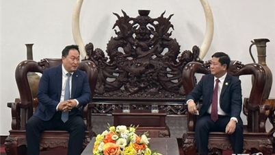 Đồng chí Trần Quốc Nam, Phó Bí thư Tỉnh ủy, Chủ tịch UBND tỉnh tiếp và làm việc với Hiệp hội Doanh nghiệp Hàn Quốc