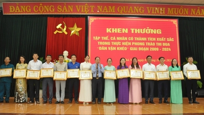 The mark of "Skillful mass mobilization" in Phu Ninh