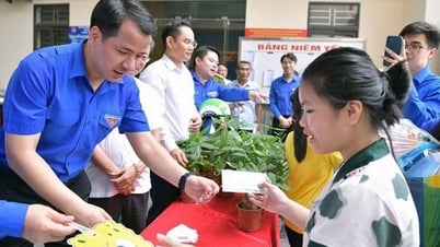 ស្រុក Ngo Quyen (Hai Phong) អនុវត្តកម្មវិធី "ផ្លាស់ប្តូរសំរាមសម្រាប់ដើមឈើ"