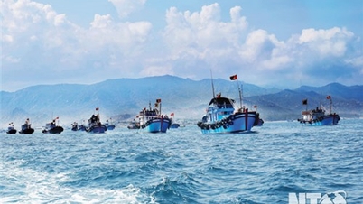 Overcoming violations in fisheries exploitation to remove the IUU "yellow card"