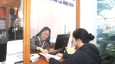 The Ministry of Home Affairs proposed that Hanoi and Ho Chi Minh City be organized into 15 departments.