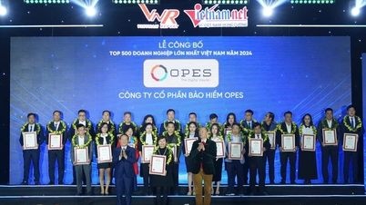 កំណើនគួរឱ្យចាប់អារម្មណ៍ OPES ចូលក្នុងសហគ្រាសធំជាងគេទាំង 500 នៅវៀតណាមឆ្នាំ 2024