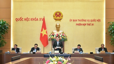 The Capital Law has special significance for the Capital and the whole country.