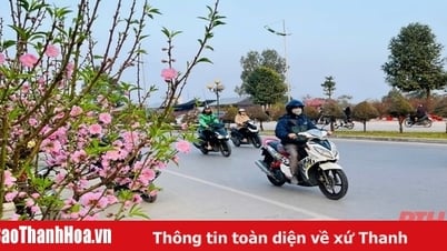 Pronóstico del tiempo para la provincia de Thanh Hoa durante el Año Nuevo Lunar