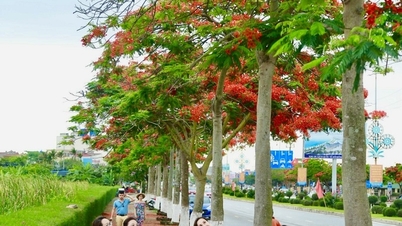 Hai Phong: Changing every day