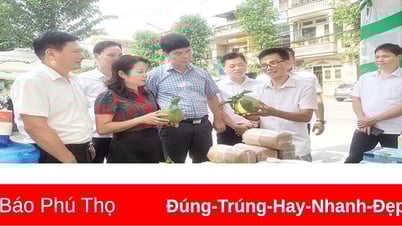 ពង្រឹងប្រសិទ្ធភាពសមាគមកសិករគ្រប់កម្រិត