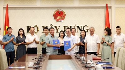 Bàn giao 02 đơn vị sự nghiệp công lập trực thuộc Bộ Xây dựng về trực thuộc UBND thành phố Hải Phòng quản lý