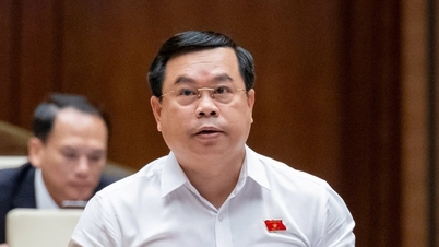 Thúc đẩy mọi nguồn lực để đại học trở thành trụ cột trong phát triển kinh tế