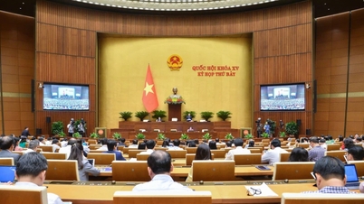 Communiqué No. 6, 7th Session, 15th National Assembly