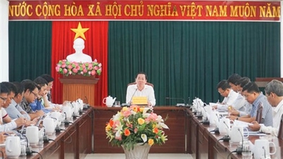 គណៈកម្មាធិការប្រជាជនខេត្ត បានបើកកិច្ចប្រជុំមួយ ដើម្បីស្តាប់របាយការណ៍ ស្នើសុំដំណោះស្រាយ ដើម្បីជំរុញកំណើន ថាមពល កែច្នៃ និងផលិតកម្ម។