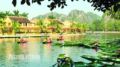 ចាំនីញិញ | baoninhbinh.org.vn