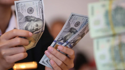 USD đồng loạt nhích tăng nhẹ; Tỷ giá Yen Nhật đà giảm chưa dừng