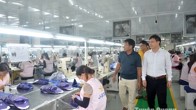 Kinh tế tập thể chuyển biến mạnh mẽ
