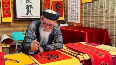 Xin chữ ông đồ, xem tranh vẽ rắn tại Văn Miếu - Quốc Tử Giám