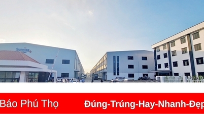 ពិន័យ​១៨០​លាន​ដុង​ចំពោះ​ក្រុមហ៊ុន​បង្ក​ការ​បំពុល​កម្មករ​ជាង​១០០​នាក់​