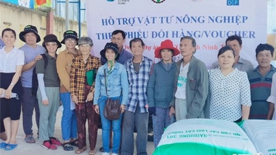 Dự án SACCR-Ninh Thuận cấp phát vật tư nông nghiệp cho 1.379 hộ dân