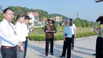조사와 감독은 실질과 효과에 영향을 미칩니다.
