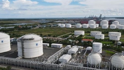 Fomento de las importaciones de GNL para la producción de energía limpia