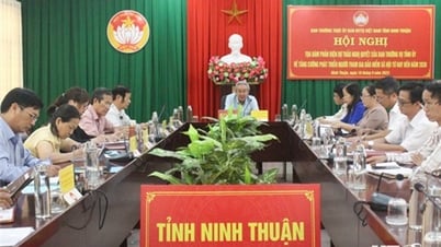 Tọa đàm phản biện dự thảo Nghị quyết về tăng cường phát triển người tham gia bảo hiểm xã hội