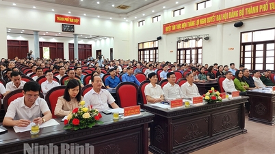 គណៈកម្មាធិការបក្សទីក្រុង Tam Diep សង្ខេបរយៈពេល ១០ ឆ្នាំនៃការអនុវត្តសេចក្តីសម្រេចចិត្តលេខ ៣៣ NQ TW របស់គណៈកម្មាធិការមជ្ឈិមបក្ស