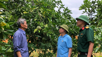 គុណគំរូអតីតយុទ្ធជន