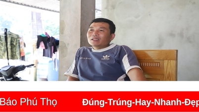 Dong Tao 20 ឆ្នាំបន្ទាប់ពីចុះពីលើភ្នំ