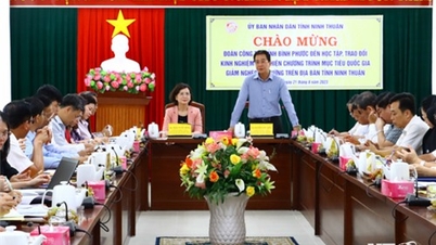 Die Führer des Volkskomitees der Provinz empfingen und arbeiteten mit der Delegation der Provinz Binh Phuoc