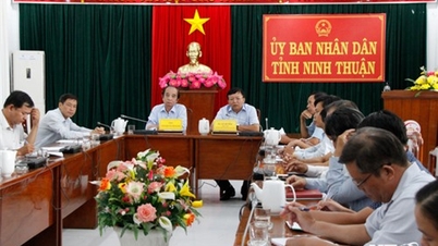 Triển khai công tác chuẩn bị đón và làm việc với Đoàn thanh tra của Ủy ban châu Âu