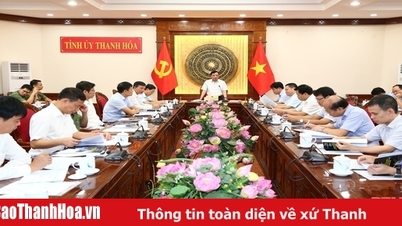 Công tác chuẩn bị tổ chức Lễ kỷ niệm 70 năm đón tiếp đồng bào, cán bộ, chiến sĩ và học sinh miền Nam tập kết ra Bắc tại TP Sầm Sơn cơ bản hoàn thành
