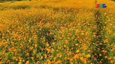 Rực rỡ Đảo hoa thiên đường