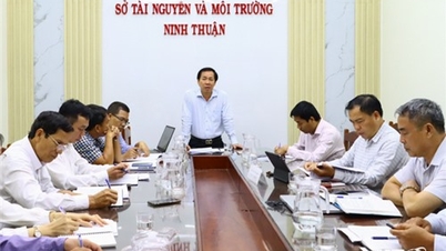 គណៈប្រតិភូត្រួតពិនិត្យលេខ ១៥៩៩ នៃគណៈកម្មាធិការអចិន្ត្រៃយ៍បក្សខេត្ត ត្រួតពិនិត្យការអនុវត្តសេចក្តីសម្រេចចិត្តលេខ ២០-NQ/TU នៅមន្ទីរធនធានធម្មជាតិ និងបរិស្ថាន និងមន្ទីរផែនការ និងវិនិយោគ។