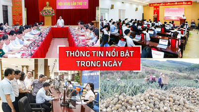 Nghe An: Highlights on April 8