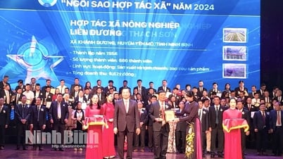 HTX nông nghiệp Liên Dương được trao giải Ngôi sao Hợp tác xã năm 2024