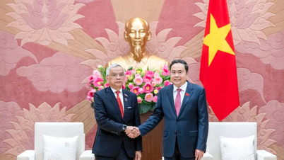 ពង្រឹងទំនាក់ទំនងមិត្តភាព និងសាមគ្គីភាពពិសេសរវាងវៀតណាម និងឡាវ