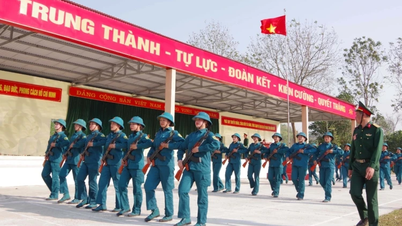 디엔비엔푸 승전 70주년 기념 퍼레이드 조직