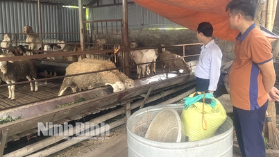 Phát triển kinh tế nâng cao thu nhập cho người dân ở Gia Hưng