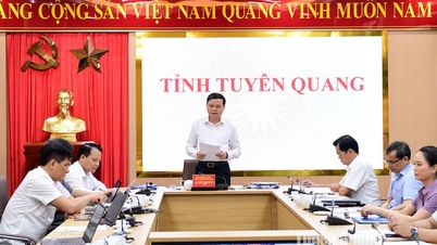 The 13th meeting of the State Steering Committee for important national projects and works, key to the Transport sector