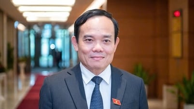 បោះឆ្នោតជ្រើសរើសលោក Tran Luu Quang ជាលេខាធិការដ្ឋានគណៈកម្មាធិការមជ្ឈិមបក្សលើកទី១៣