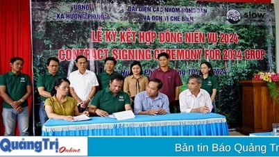ក្រុមហ៊ុន Slow Vietnam បានចុះកិច្ចសន្យាទិញគ្រាប់កាហ្វេស្រស់ចំនួន 2,500 តោន។