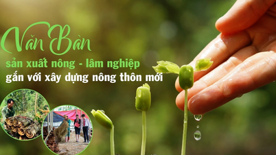 Văn Bàn sản xuất nông - lâm nghiệp gắn với xây dựng nông thôn mới