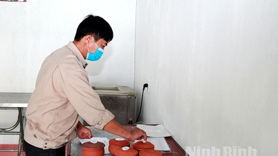 Yên Mô khai thác lợi thế riêng để phát triển sản phẩm OCOP