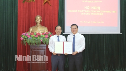 두옹 덕 쿠안(Duong Duc Quan) 동지께서 기획투자부 부국장으로 임명되셨습니다.
