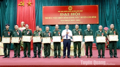 Lâm Bình tổ chức Đại hội thi đua “Cựu chiến binh gương mẫu” giai đoạn 2019-2024