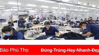 Import and export in 9 months reached over 23 billion USD