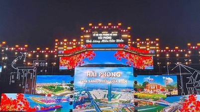 Hải Phòng huy động nguồn lực xã hội hoá tổ chức Lễ hội Hoa phượng đỏ 2024
