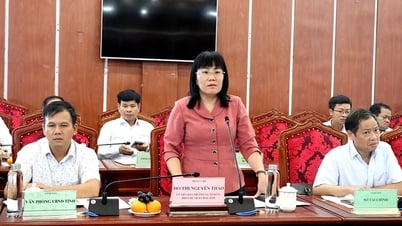 ប្រកាសអំពីការសម្រេចចិត្តធ្វើសវនកម្មថវិកាក្នុងស្រុកក្នុងឆ្នាំ 2023