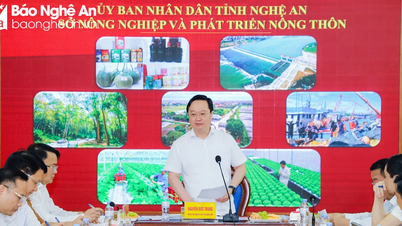 ประธานคณะกรรมการประชาชนจังหวัดเหงะอาน นายเหงียน ดึ๊ก จุง ทำงานร่วมกับกรมเกษตรและพัฒนาชนบท